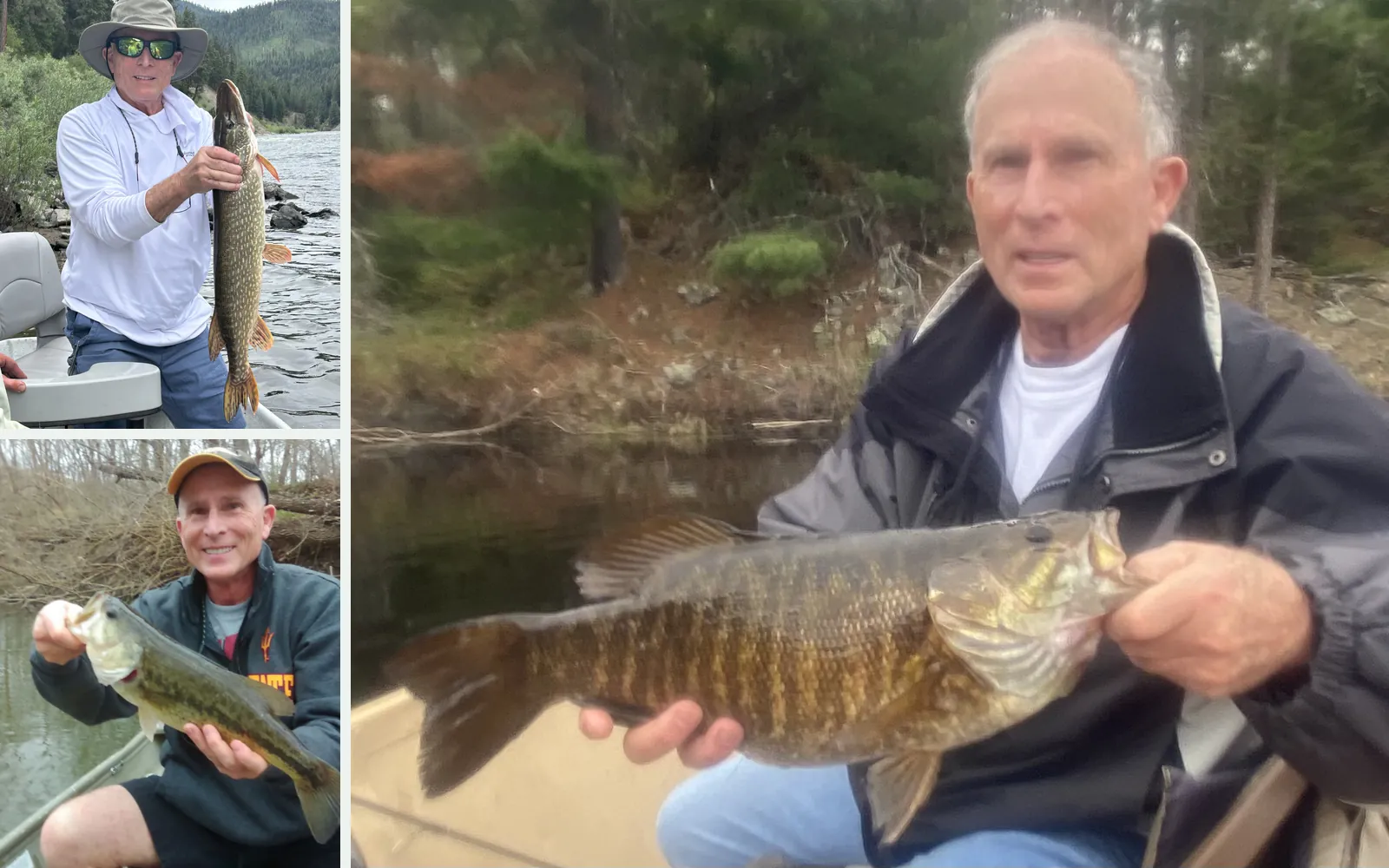 Anglers with a northern pike, a largemouth bass and a smallmouth bass caught from boats on rivers and lakes across the country