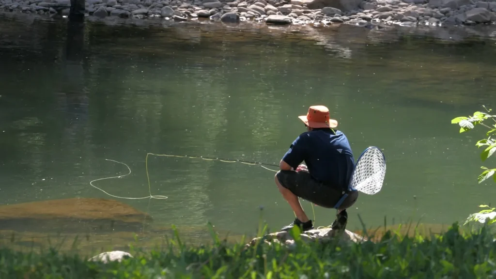 A fly angler kneeling with a landing net beside a clear spring-fed trout stream