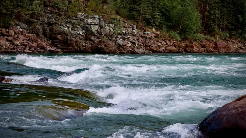 Whitewater rushing through a river canyon at high flow