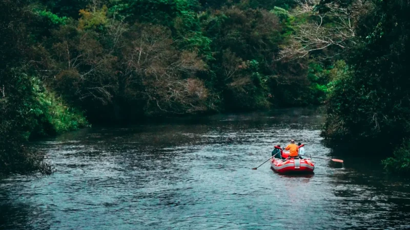 A raft floating a green river between forested banks on a guided float trip
