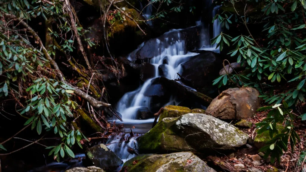 Whitewater dropping through a boulder-strewn Appalachian stream
