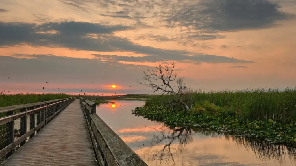 Sun setting over a broad coastal marsh cut by tidal creeks