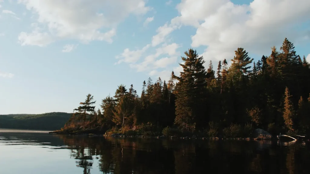 Conifers crowding a rocky point on a clear northern lake
