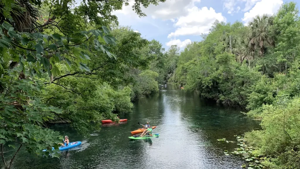 Kayakers paddling a clear spring run in Florida
