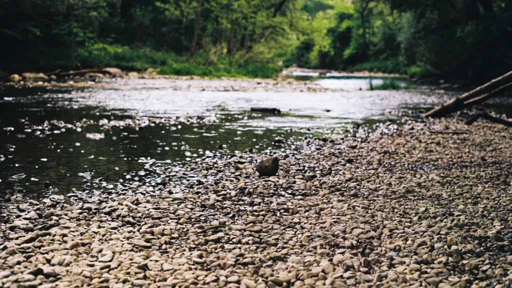 A clear gravel-bottomed river running past a wooded bank