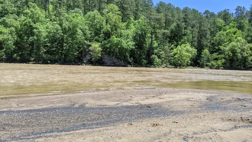 A wide sand and gravel bar on a slow river below a timbered bank