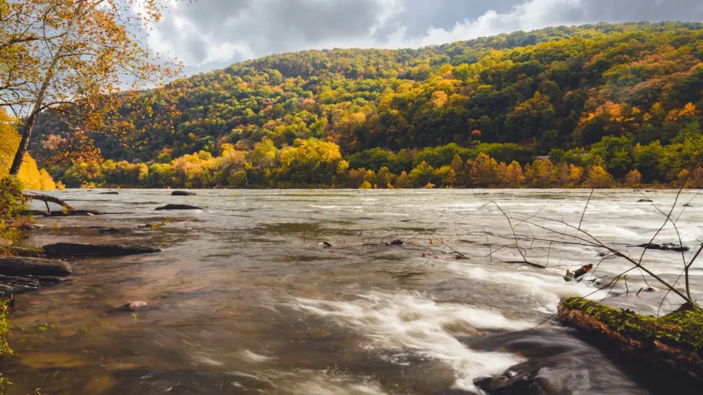 A wide river below a ridge in full autumn colour in the Appalachians