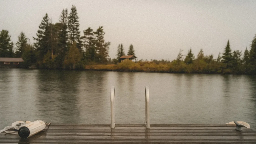 Dock pilings standing in flat water against a wooded far bank