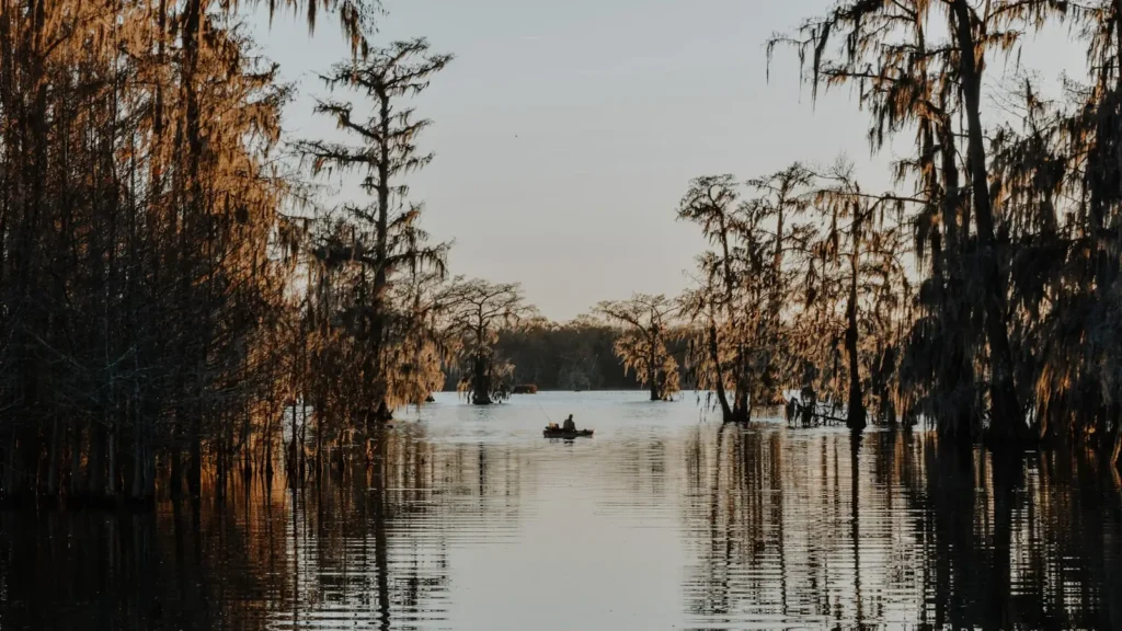 Still bayou water ringed by moss-draped cypress at golden hour