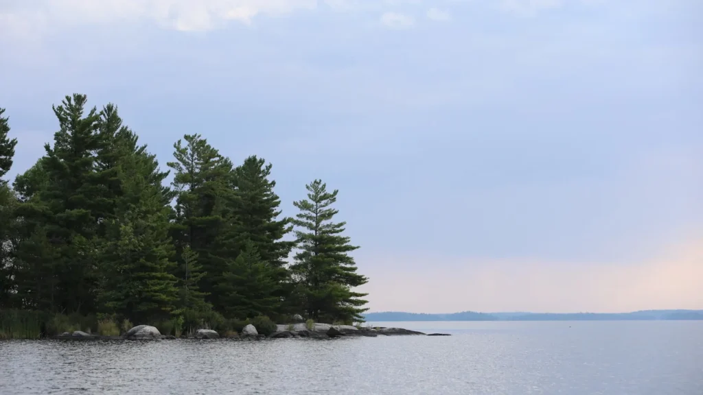 Pines along a rocky shoreline on a calm northern lake