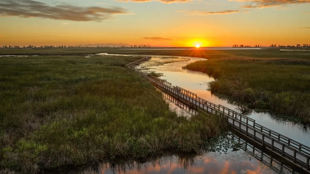 A boardwalk crossing tidal marsh at sunset on the southeastern coast