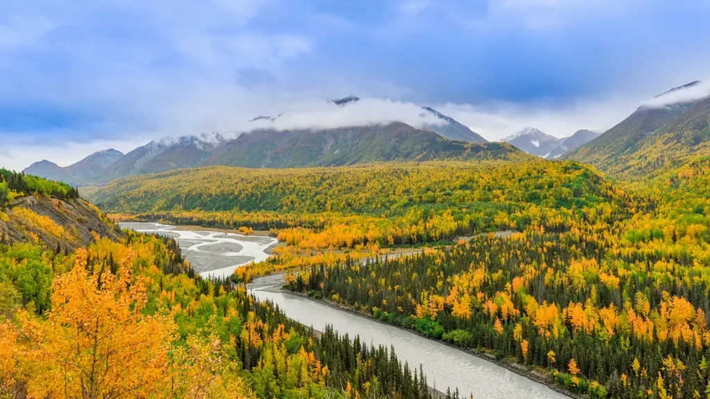 A river braiding through autumn tundra under snow-capped peaks in Alaska