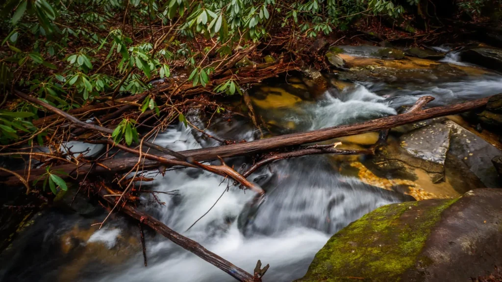 A small waterfall stepping through mossy boulders in an eastern hardwood forest