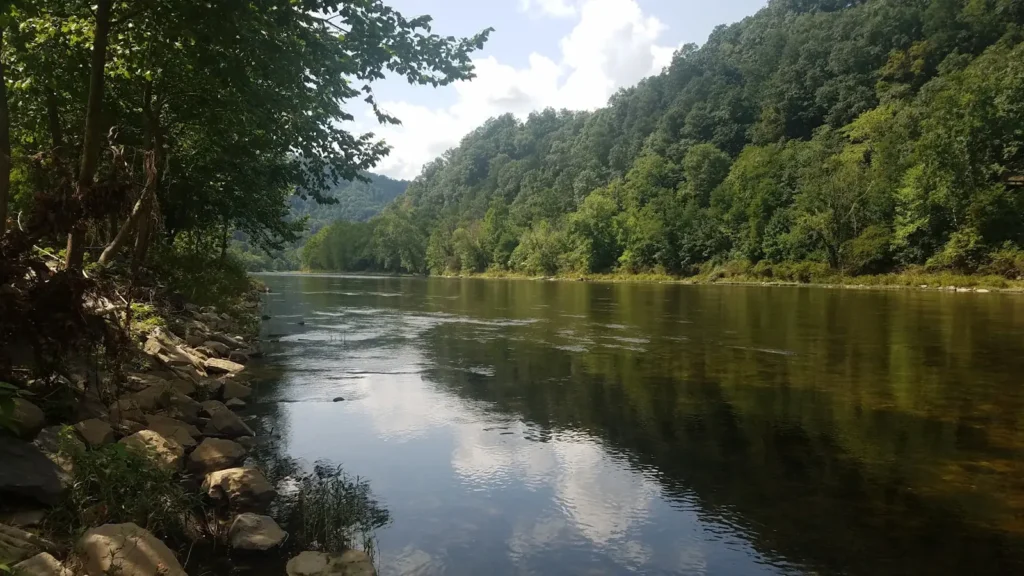 A quiet river reach walled by hardwood forest in the Appalachians