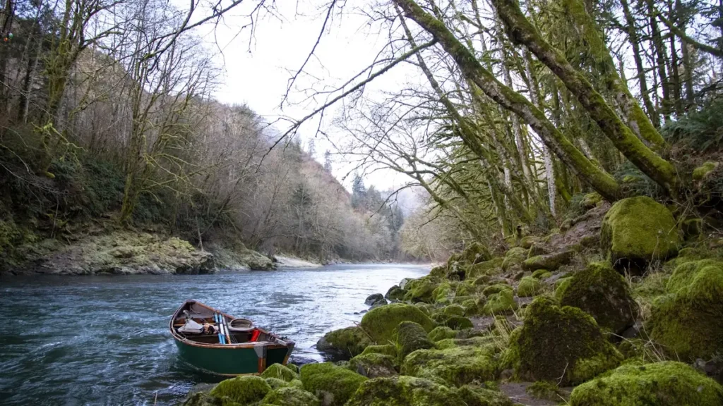 A drift boat running a riffle between mossy banks in the Pacific Northwest