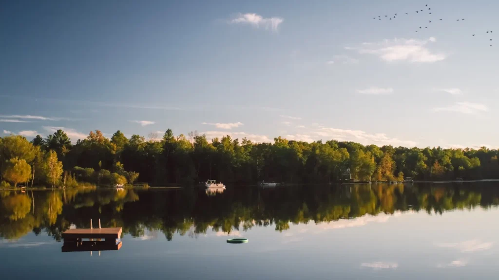 Boats moored along a wooded lakeshore under blue sky