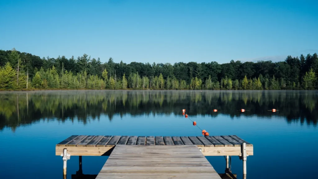 A wooden dock on a calm tree-lined lake