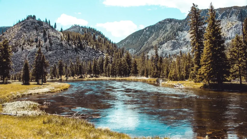 A clear river pool below pines and broken rock in the Rockies