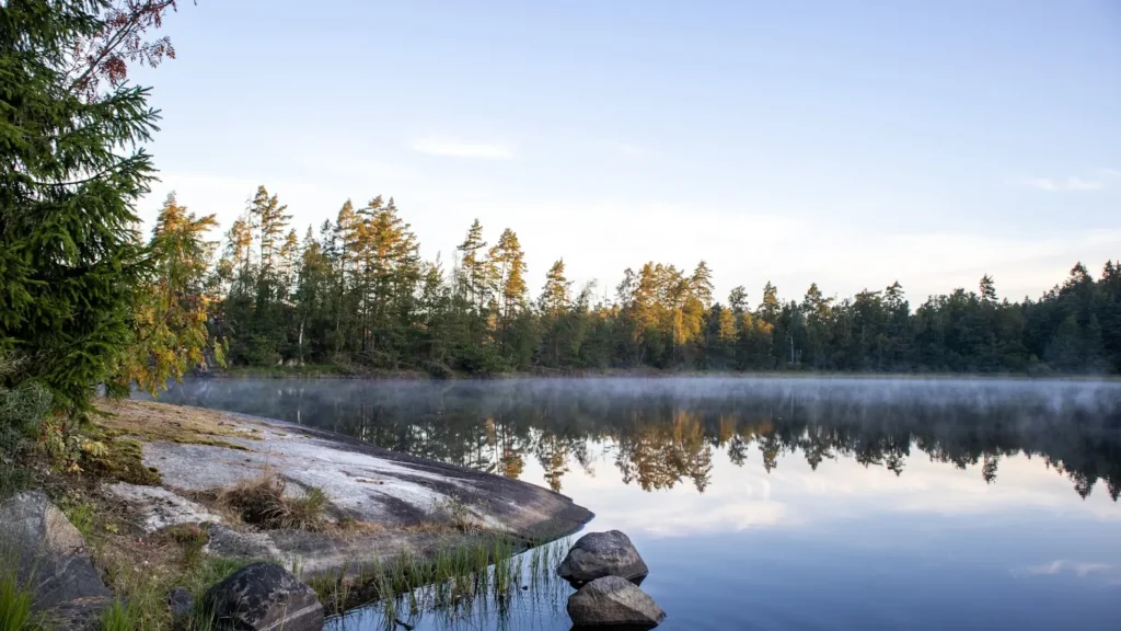 Mist rising off a northern lake between granite and pine