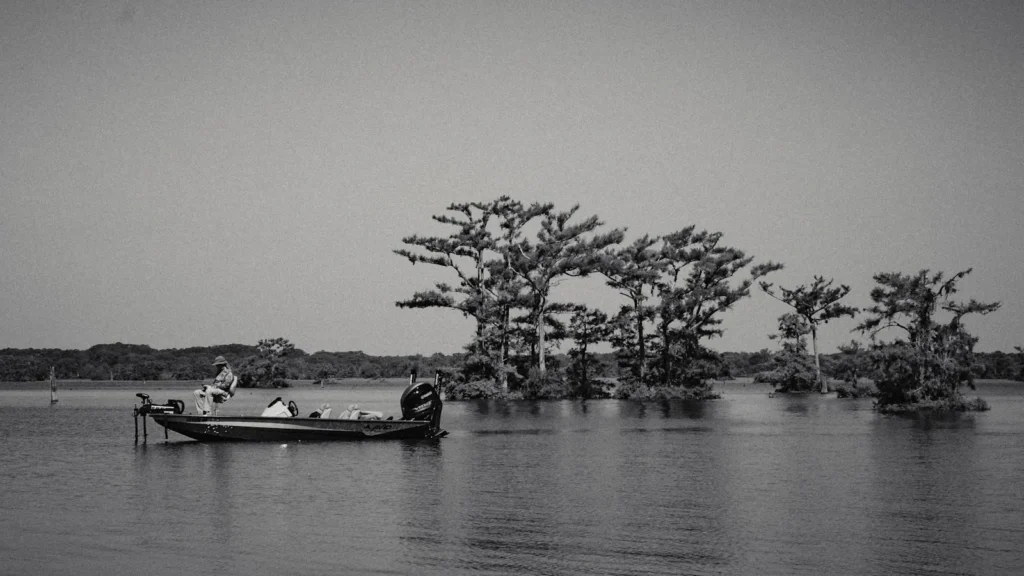 A boat idling past a stand of cypress on open bayou water