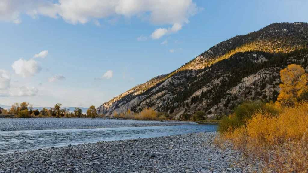 A freestone river running through a rocky mountain valley in autumn in the Northern Rockies