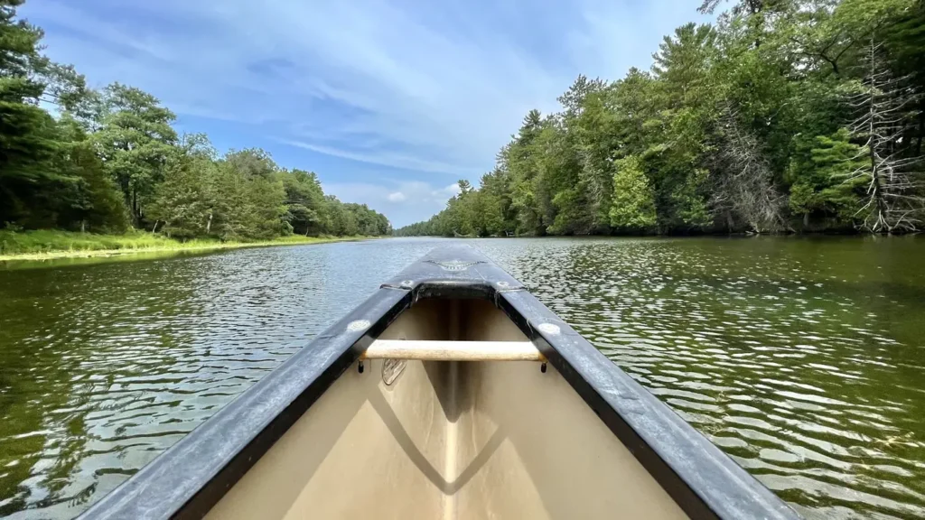The bow of a canoe running a quiet river beside timbered bank
