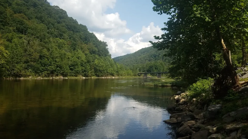 Still water and rock ledges on a forested Appalachian river