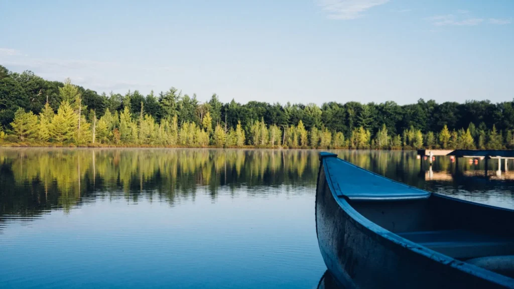 A canoe resting on calm water below tall timber