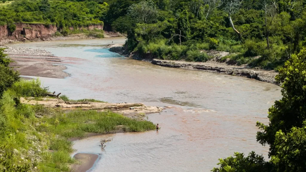 A braided prairie river running past a raw cut bank