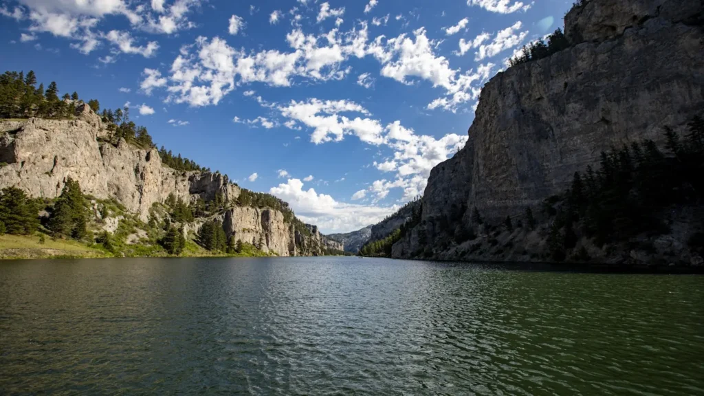 Slow green water below canyon walls on a western tailwater